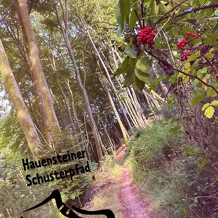 Apartamento Heimatliebe Drei Erfweiler