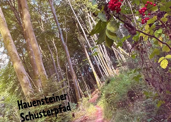 Lägenhet Heimatliebe Drei Erfweiler